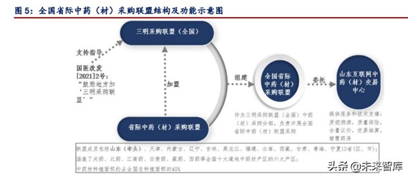 阿拉善盟医药批发市场的现状与未来趋势